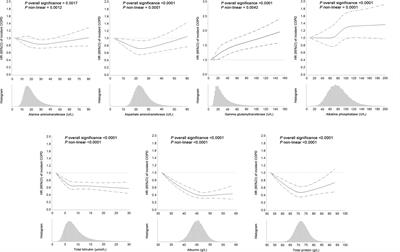 Circulating liver function markers and the risk of COPD in the UK Biobank